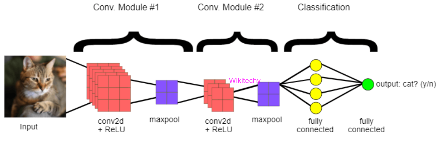 Convolutional Neural Network