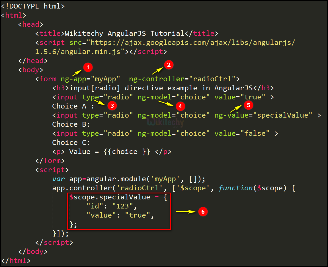 Code Explanation for AngularJS Input Radio