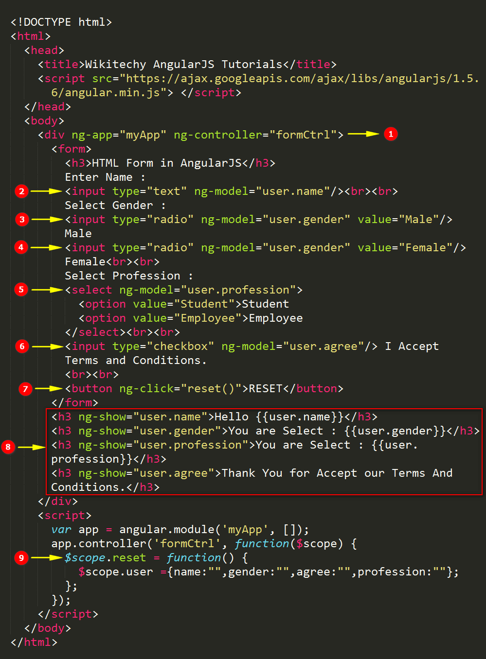 Code Explanation for AngularJS Forms