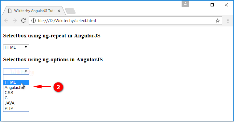 Sample Output for AngularJS Select Box