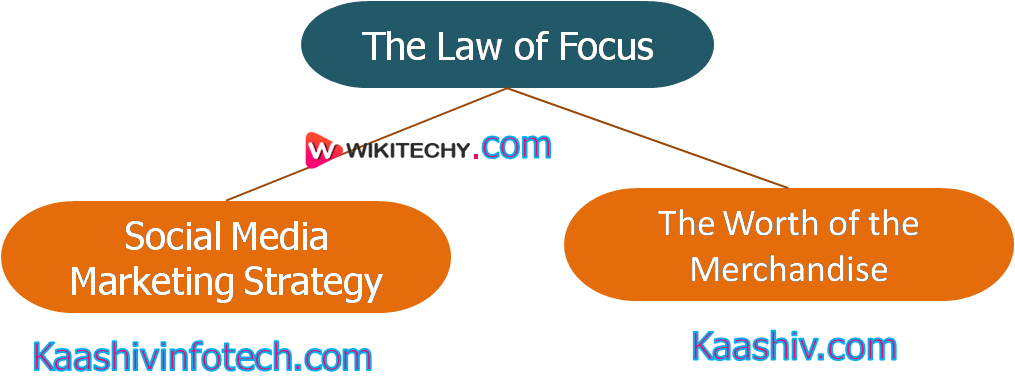  the law of focus