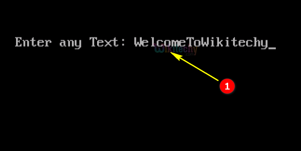 code-explanation-fopen-output