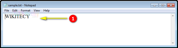 code-explanation-fputc-output