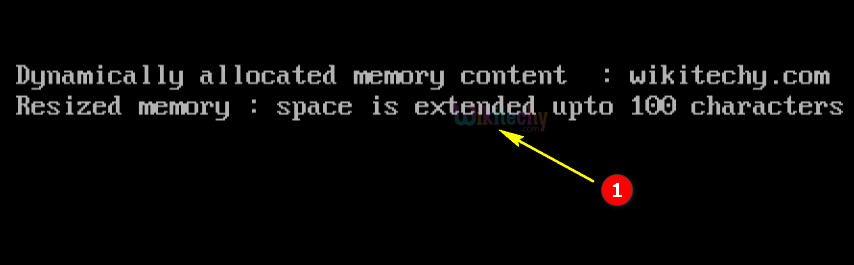code-explanation-realloc-free-function-output