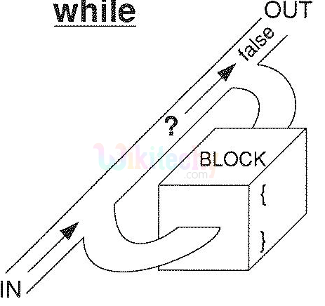 C While Loop Statement