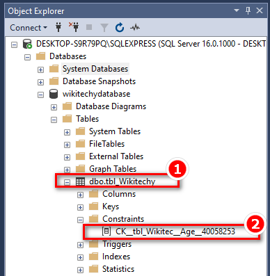 sql-check-constraint-alter-ouput-2