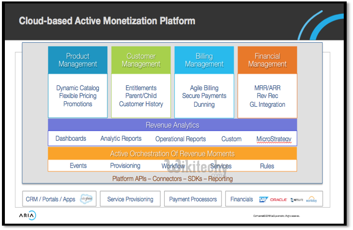 Aria Systems Cloud