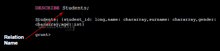 learn apache pig - apache pig tutorial - pig tutorial - apache pig examples - big data - apache pig script - apache pig program - apache pig download - apache pig example  -apache pig describe statement 