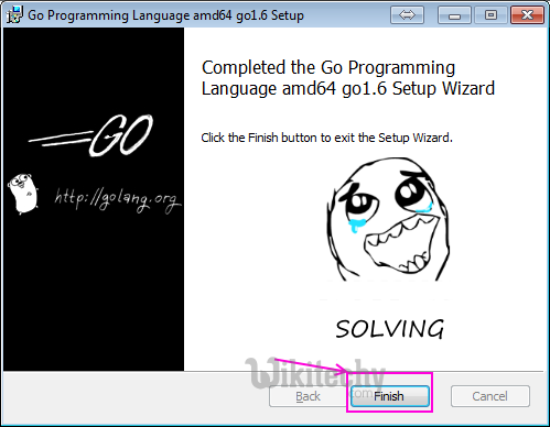 install goland in windows