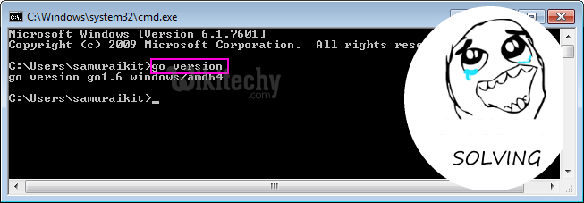 install goland in windows