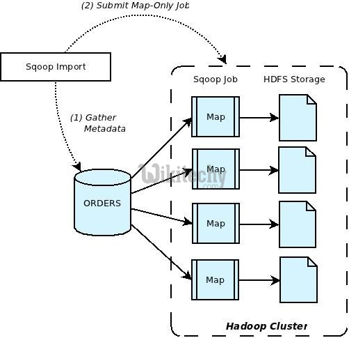  how sqoop works